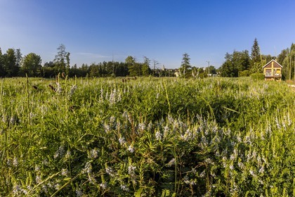 ENS de l'Isère, Prairies inondables de Pont-Évêque