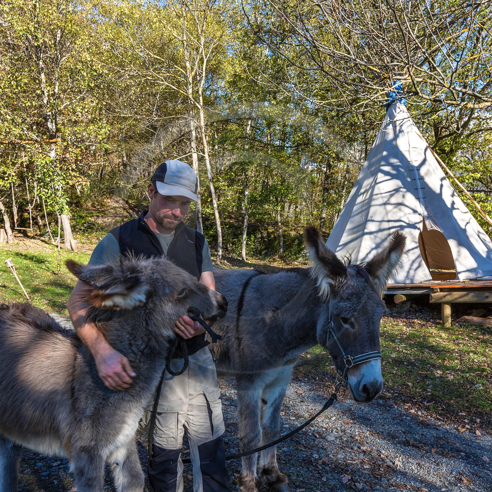 Valbonnais, quartier Les Nicolleaux, Lou pa de l'Aze, gîte et randonnée avec un âne, Yohann Masnada
