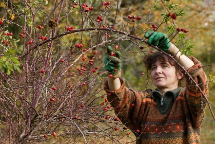 Les jardins des hautes terres de Anne Robichon