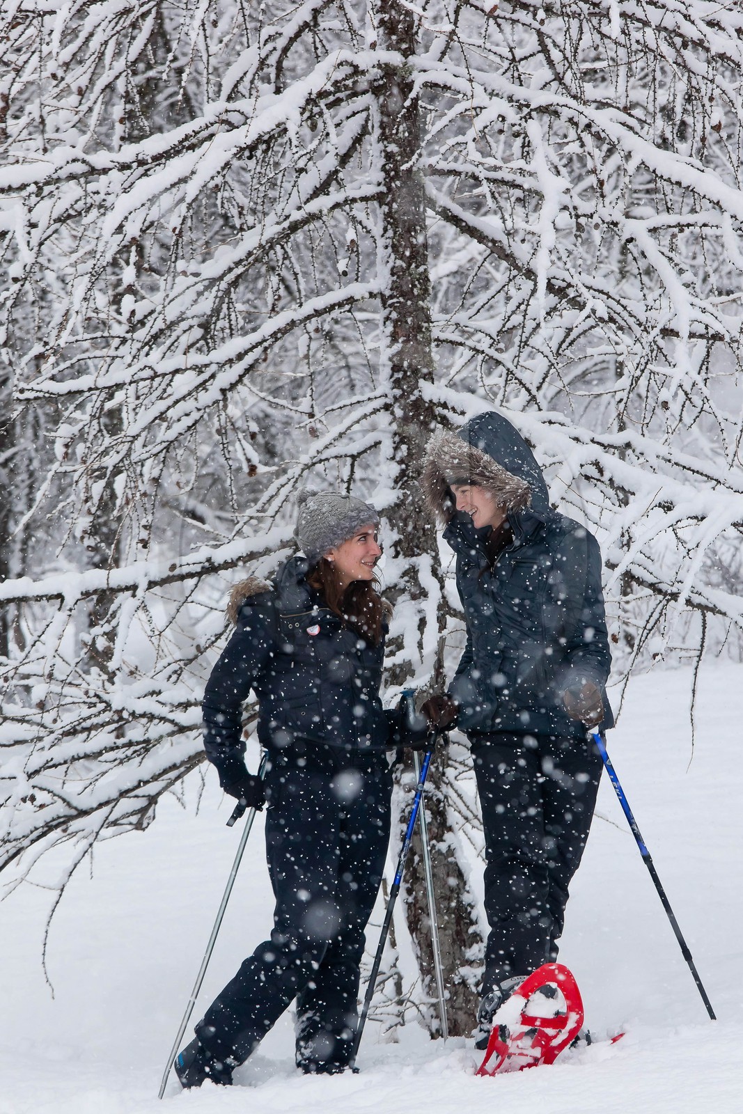 Randonnée, balade en raquettes à neige