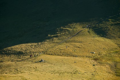 Réserve naturelle de Carlaveyron, col de Bellachat, randonnée avec portage par cheval