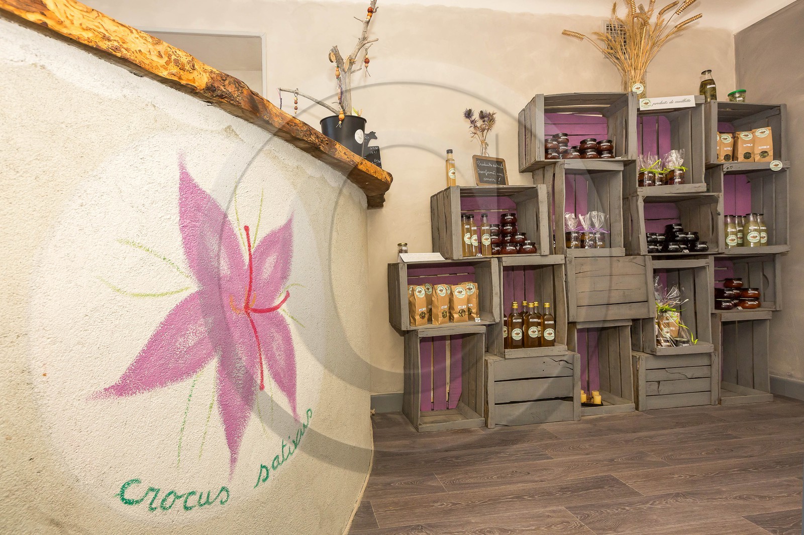 Carole Prost cultive du safran qui ensoleille ses créations