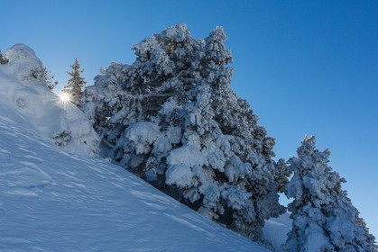 Espace naturel sensible de l'Isère, Col du Coq