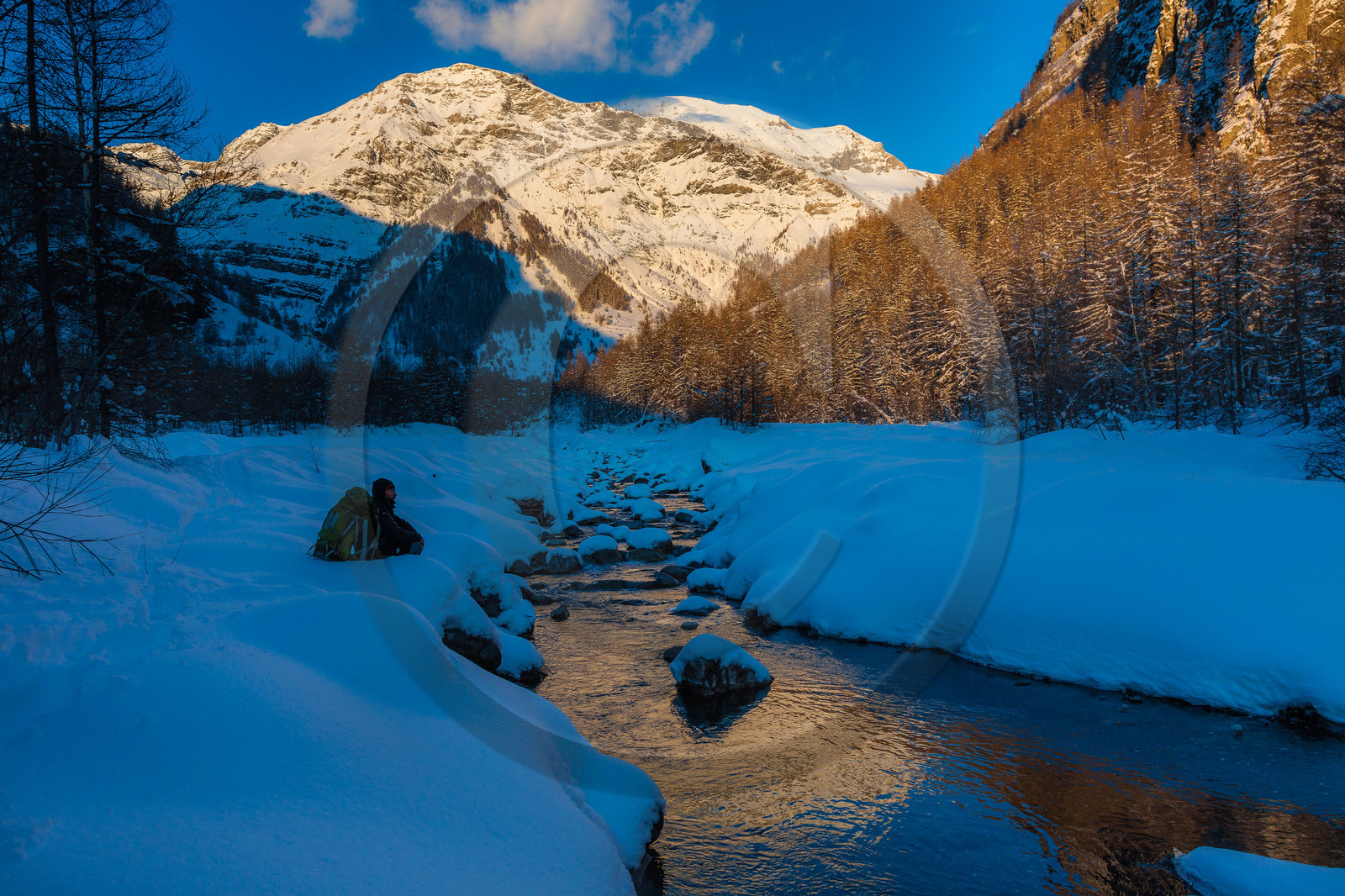 Film : La vallée des loups