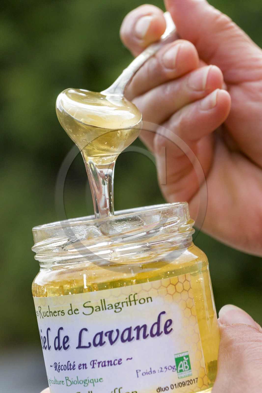 Les ruchers de Sallagriffon, Florence Bonnard