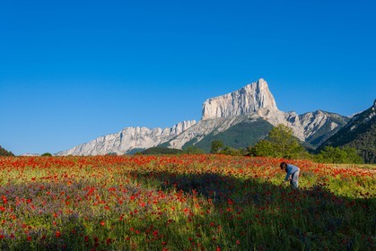 Trièves, le Mont-Aiguille