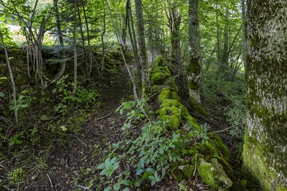 ENS de l'Isère, vallée fossile des Rimets