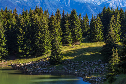Lac de la Grande Léchère