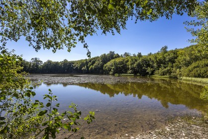 ENS de l'Isère, Etang des Béroudières