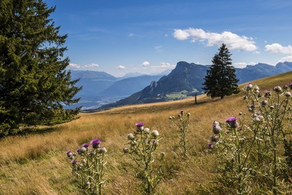 ENS de l'Isère, Plateau de la Molière et du Sornin, du plateau de Sornin