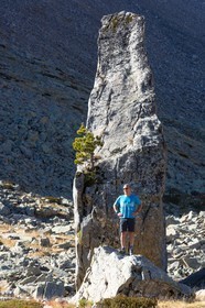 Ubaye, Vallon du Laverq