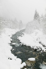 Réserve naturelle de Sixt-Passy, Le Giffre, Sixt-Fer-à-Cheval