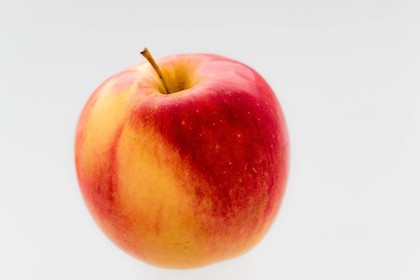 Noëlle et Franck Jacob, producteurs de fruits