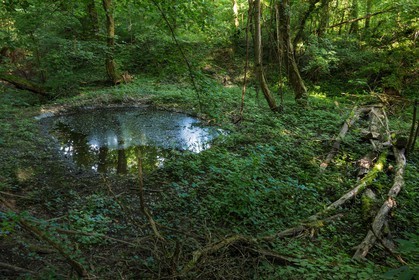 ENS de l'Isère, bois de la Bâtie