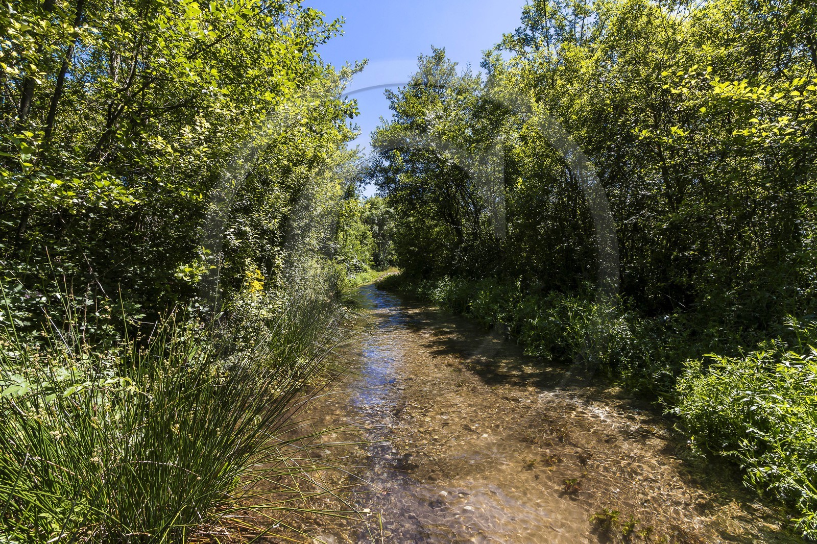 ENS de l'Isère, Les Fontaines de Beaufort