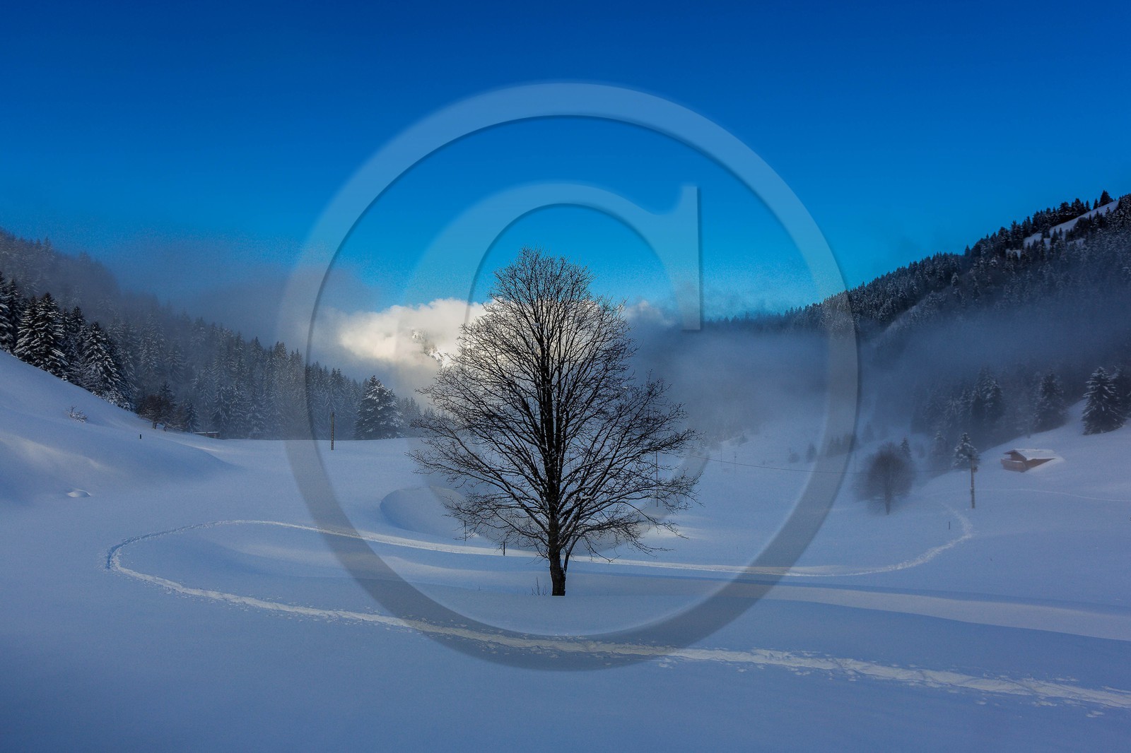 Espace naturel sensible de l'Isère, Col du Coq