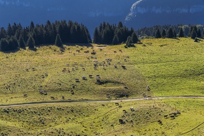 ENS de l'Isère, Plateau de la Molière et du Sornin