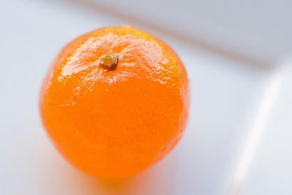 Confiserie Saint Denis, mandarine confite