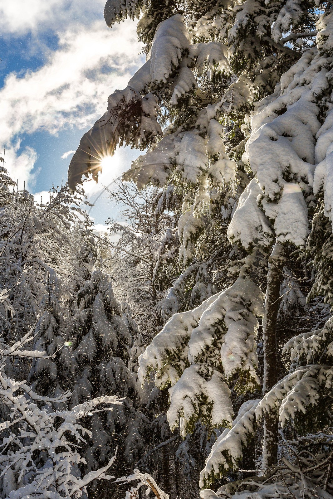 Espace naturel sensible de l'Isère, Col du Coq