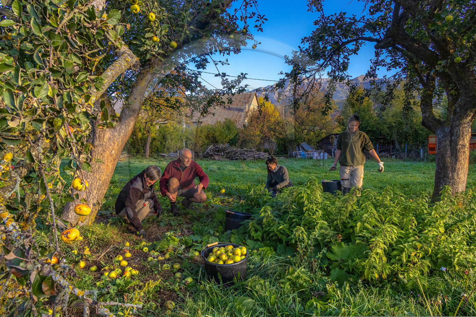 Etablissement Gayral, producteur de jus