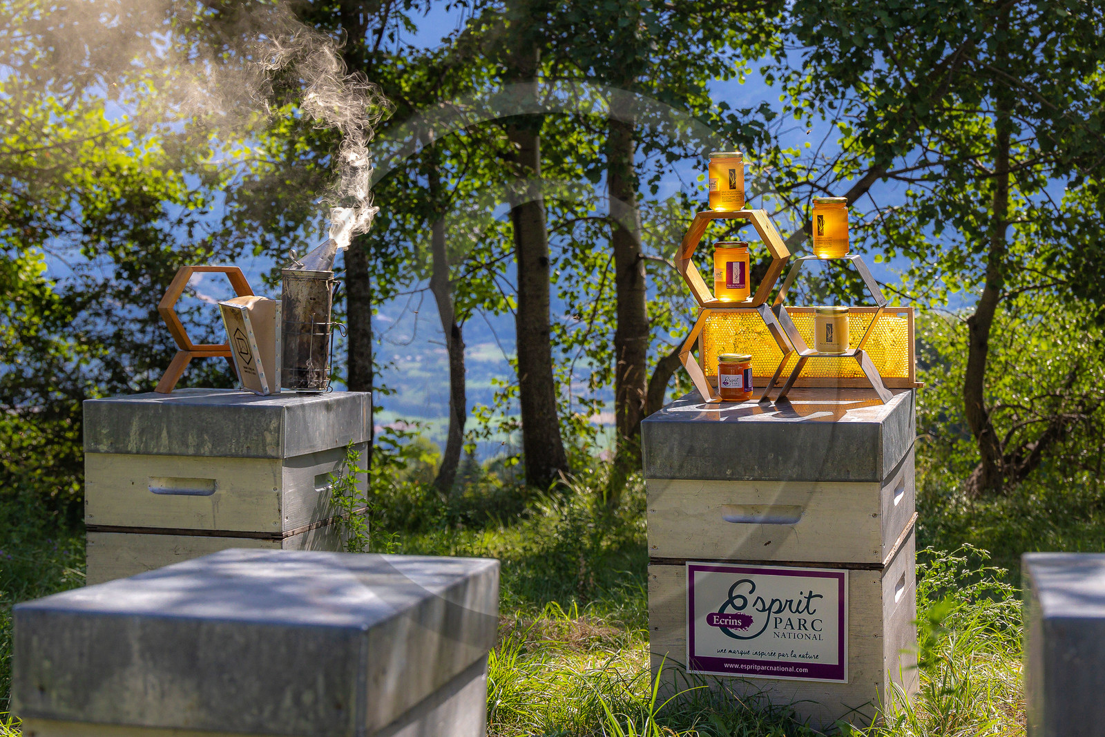 Jean-Jacques Daubert - Apiculteur