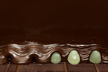 Vallée du Champsaur & Valgaudemar, Thierry SIAT Compagnon-chocolatier-patissier