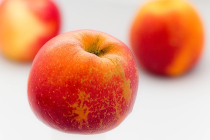 Noëlle et Franck Jacob, producteurs de fruits