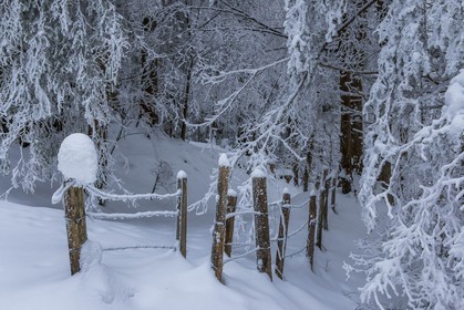 ENS de l'Isère, Les Ecouges