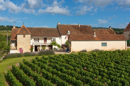 Domaine viticole Michel-Andreotti