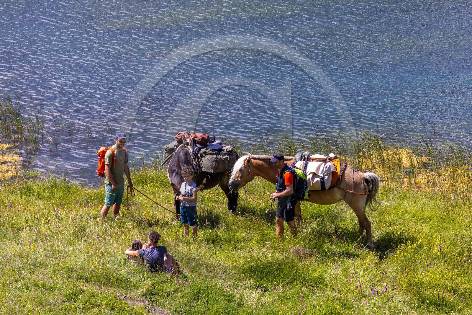 Trek famille avec animaux de bats