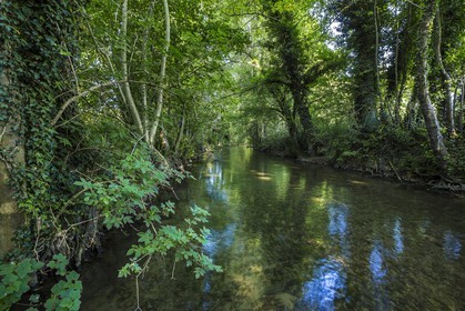ENS de l'Isère, Zone humide de la Merlière