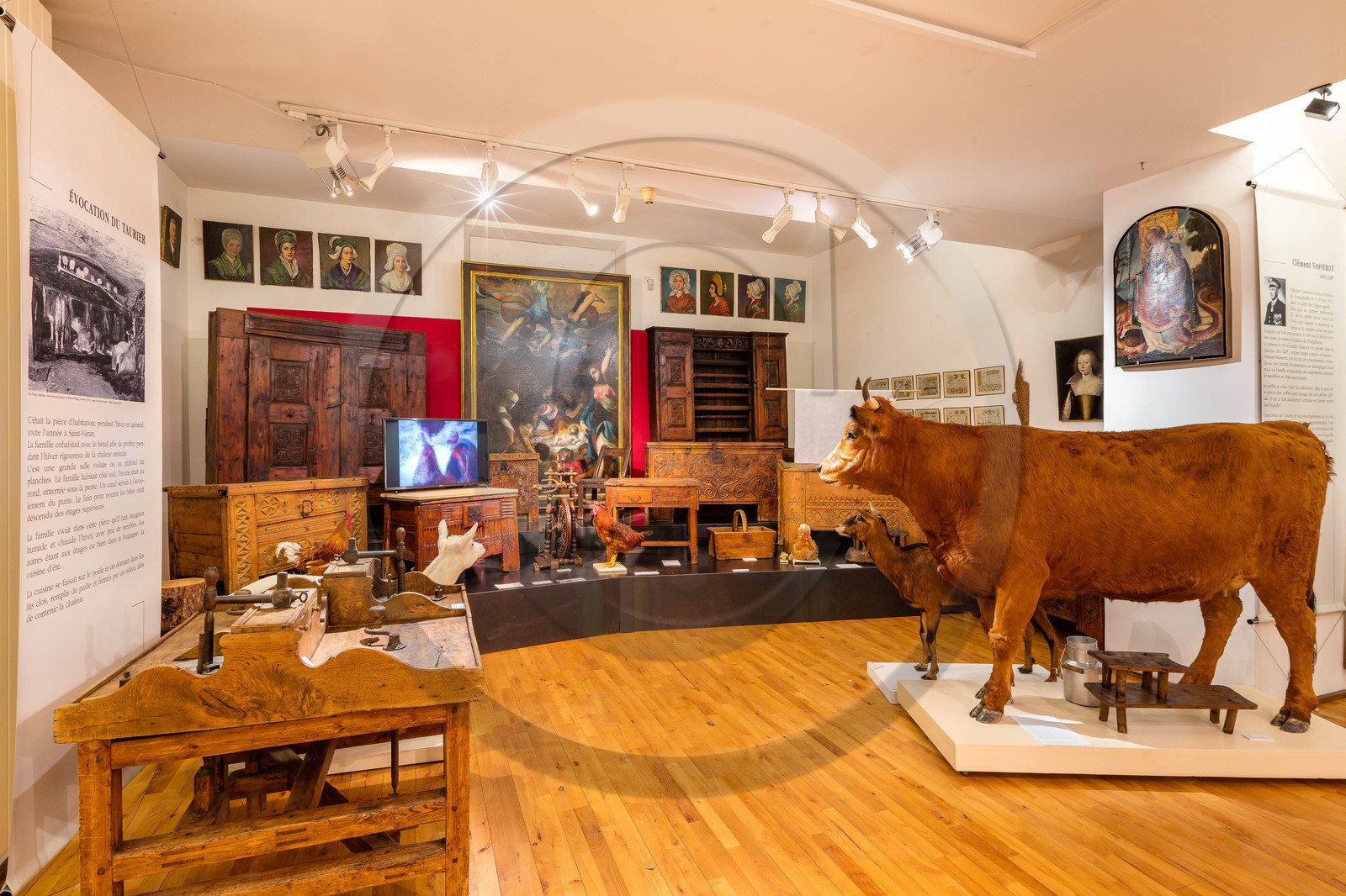 Gap, Musée Muséum départemental des Hautes-Alpes