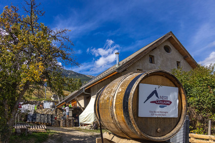 Domaine du Mont Guillaume