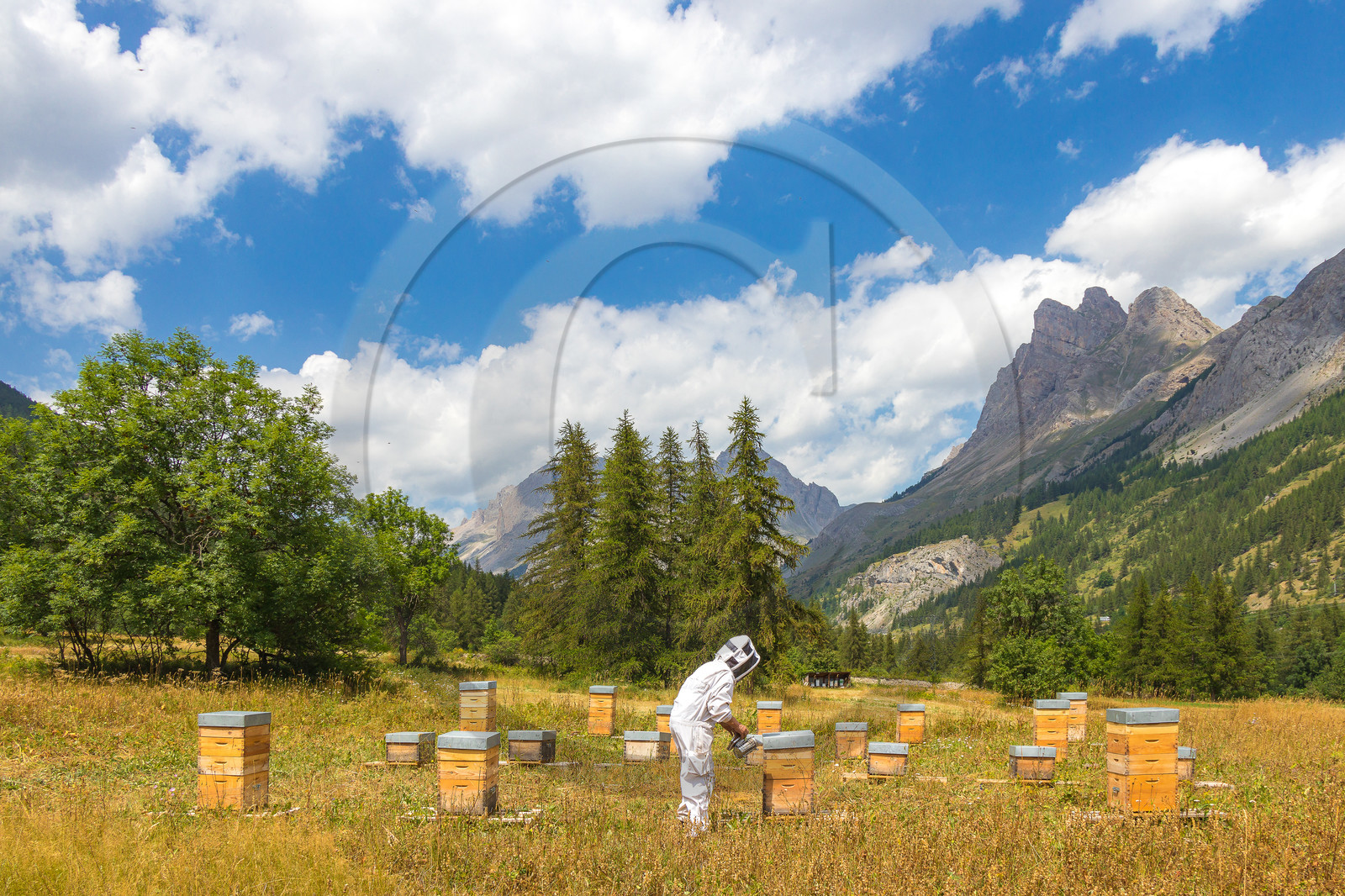 Miellerie de Serre Chevalier
