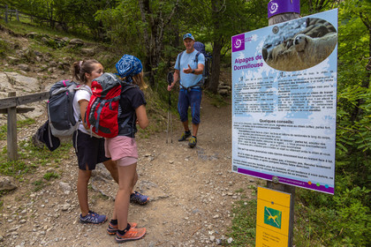 Vallée de Freissinières, panneau d'informations patou