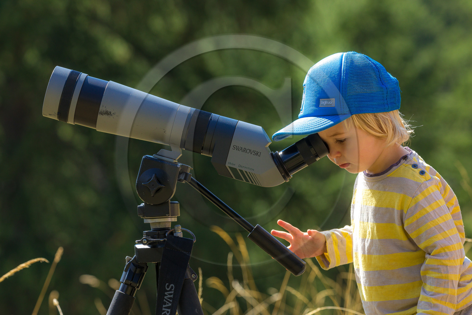 Bureau Montagne Visa Trekking