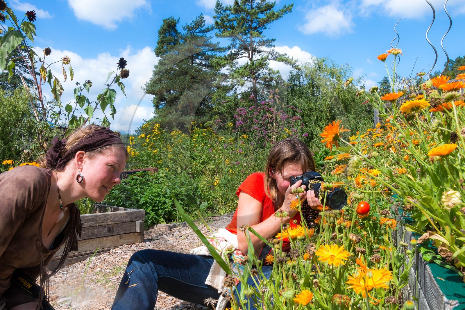 Parc écologique Terre Vivante, stage photo macro nature