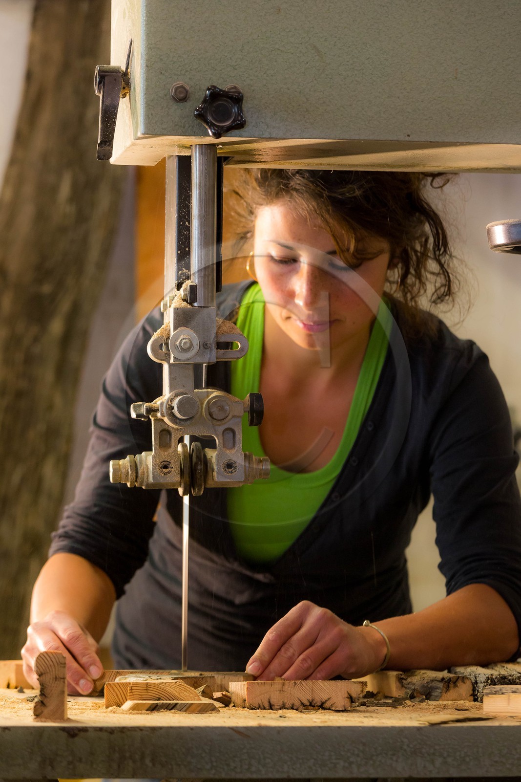 Floranne Blanc-Debrune, Acanthernel, Sculpture, ébénisterie, créations