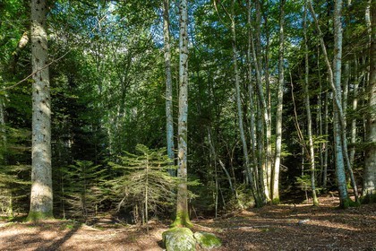 ENS de l'Isère,Tourbières du Peuil