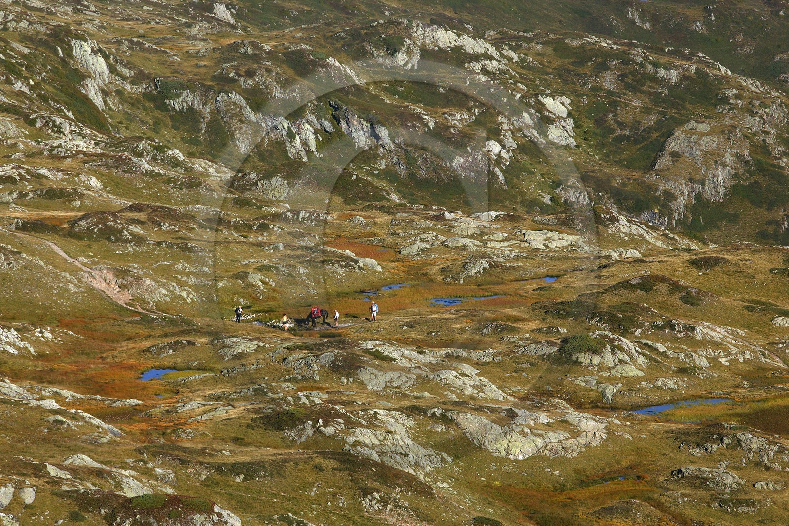 Réserve naturelle de Carlaveyron, col de Bellachat, randonnée avec portage par cheval