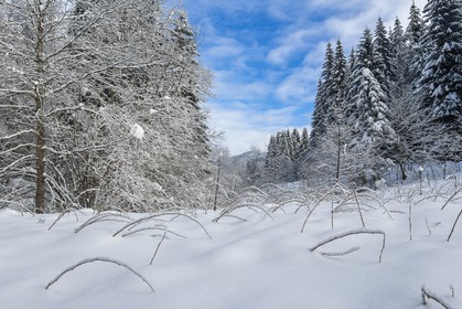 ENS de l'Isère, Les Ecouges