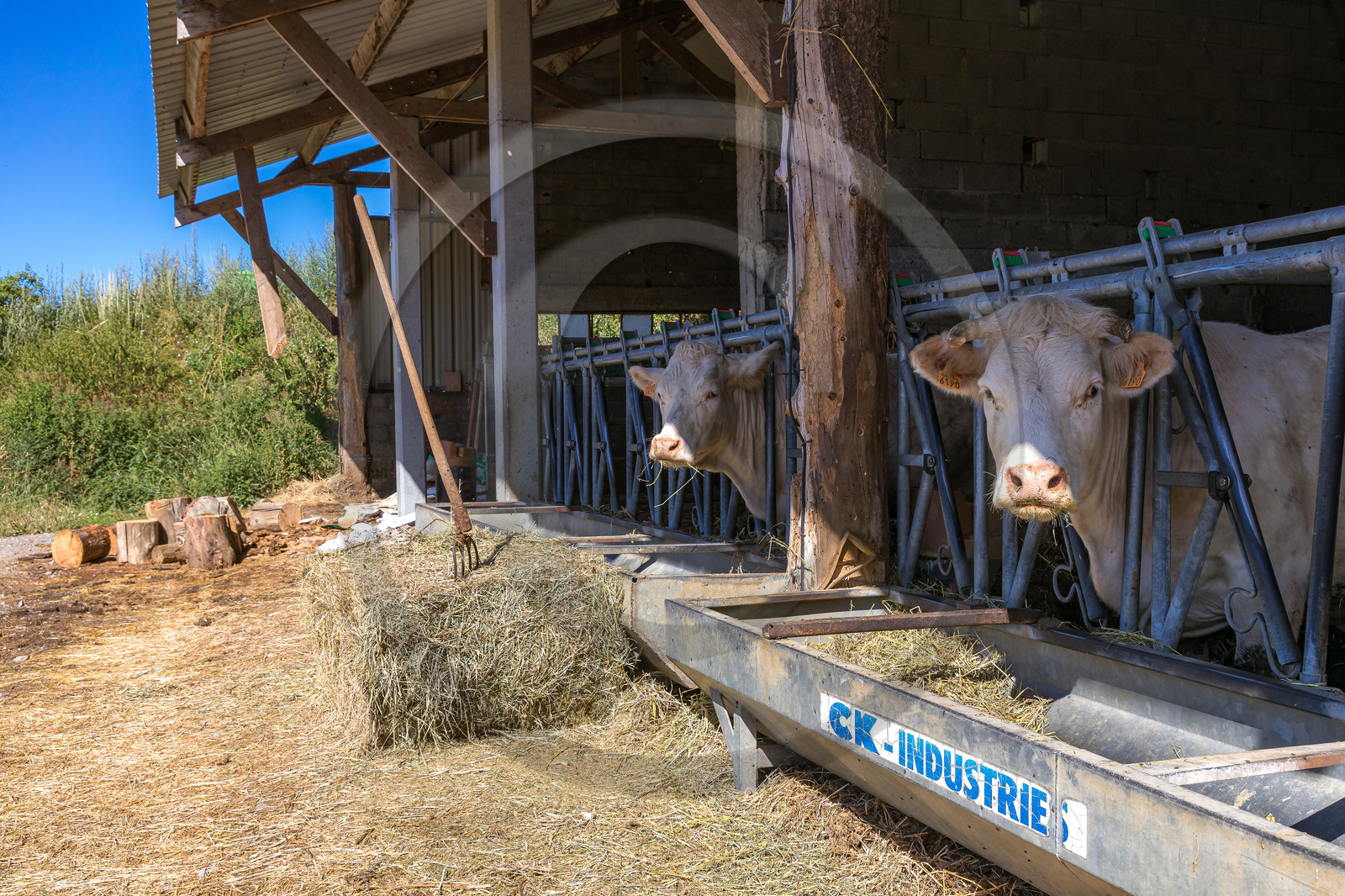 Ferme de Sauron, Laure Marcellin