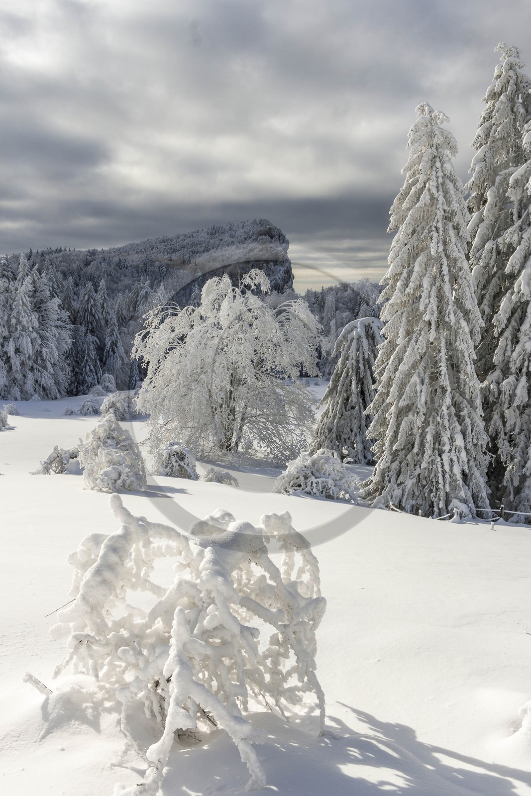 ENS de l'Isère, Les Ecouges