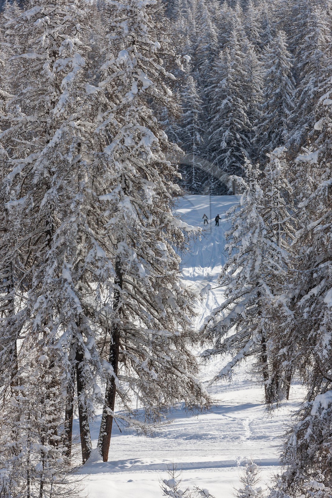 La station de ski Sauze Super-Sauze est une station village située entre 1400 et 2400 m