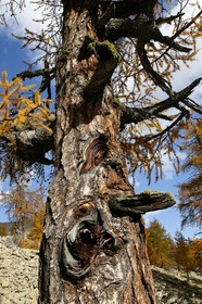 96ES5187a.jpg