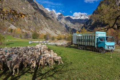 Le Désert, désenmontagnage