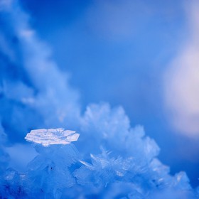 Délices de gel