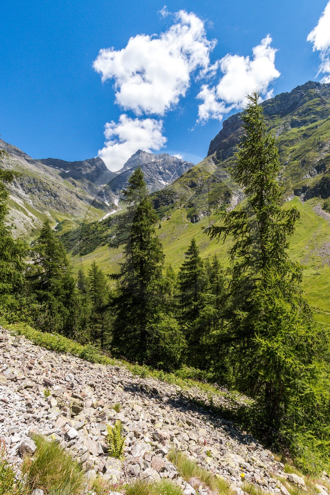 Vallée de Champoléon