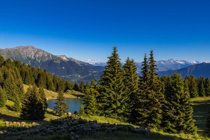 Lac de la Grande Léchère