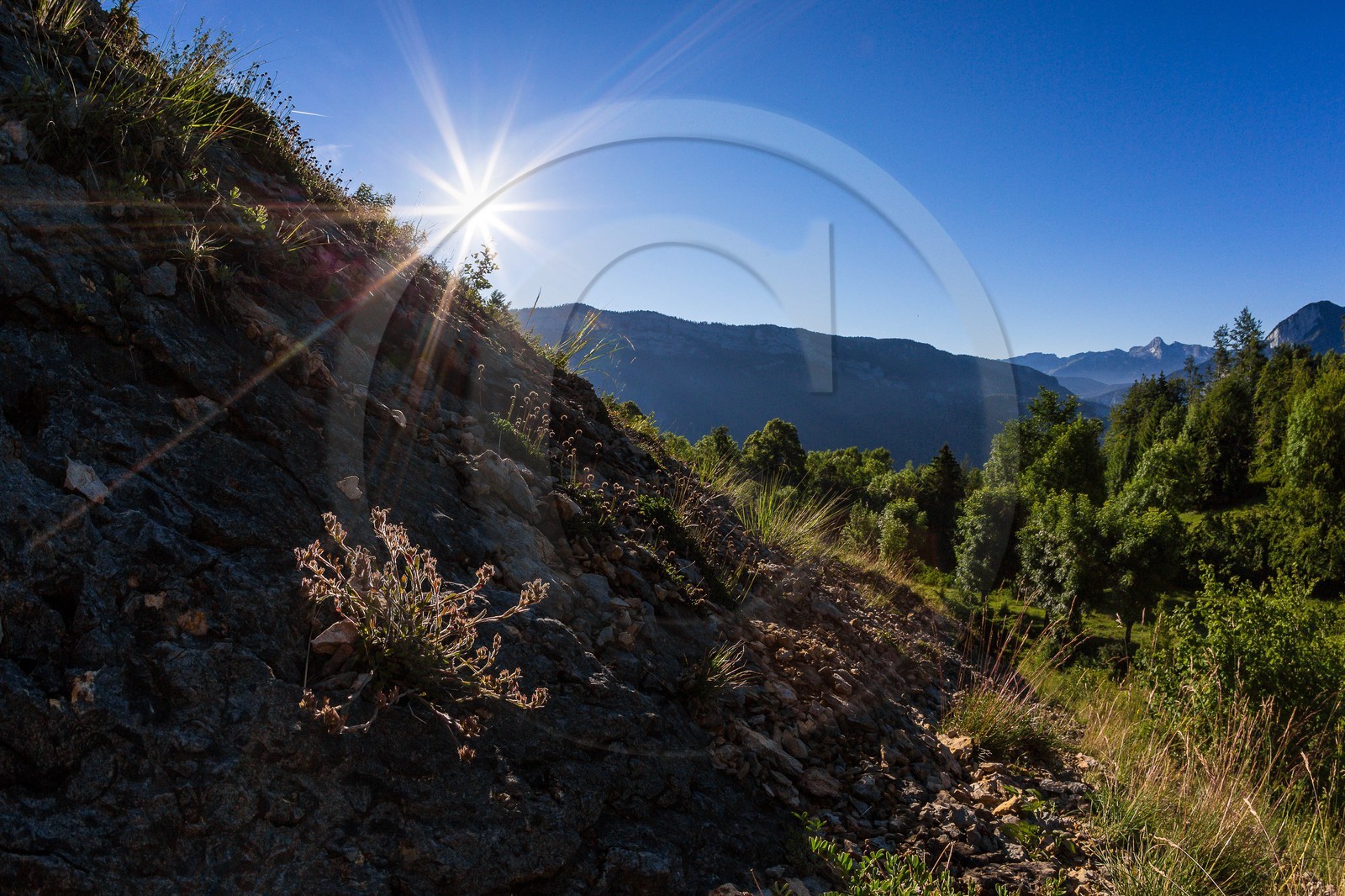 ENS de l'Isère, vallée fossile des Rimets